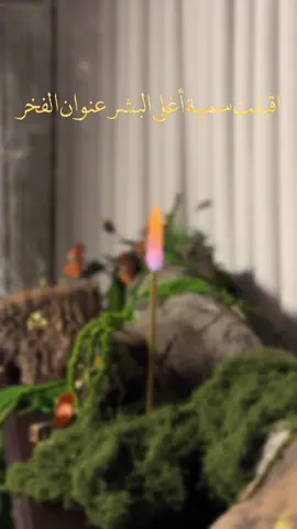 سمية أمي 😍♥️ #fyp #foryou #explore #الشعب_الصيني_ماله_حل😂😂 #اكسبلور 