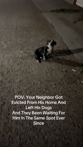 His Name Is Littles , I Feel So Bad 😩😩He’s Waiting For His Owner To Come Back #abandoned #dog 