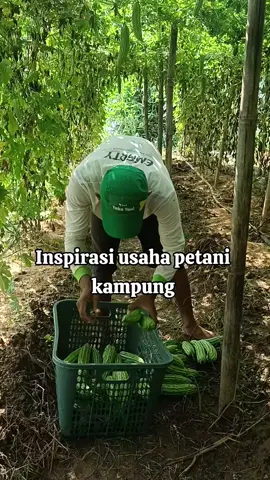 Inspirasi jadi petani di kampung dengan modal kecil dapat cuan yang besar. 