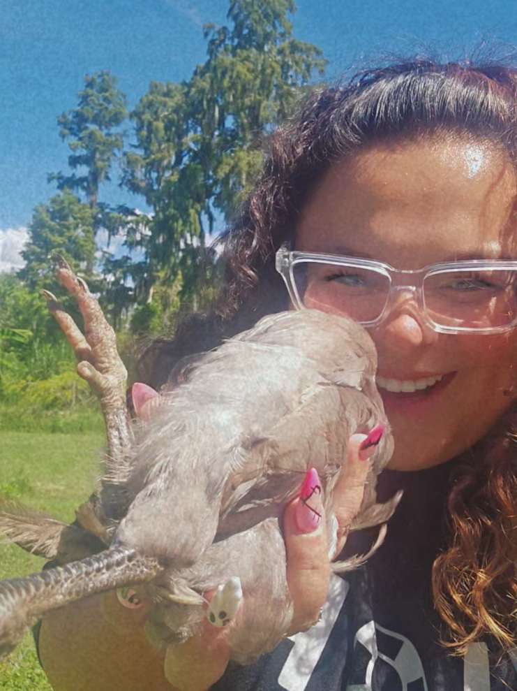 raising your own chickens is the best lol they literally don't care what you do to them lol  #chickenmom #chicken #chickenlife #chickensoftiktok #farmlife 