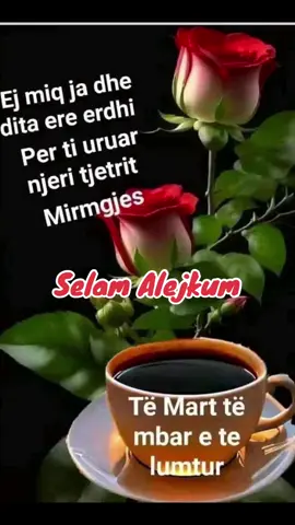 #Selam Alejkum 🤲☝️🕌🕋