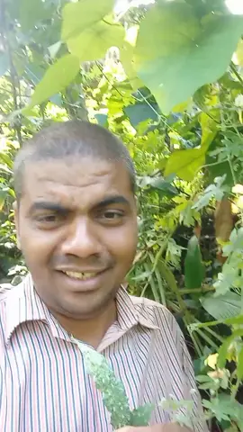 #creatorsearchinsights #tiktokviral #प्राकृतिक medicine for blood sugar, blood pressure, thyroid,many more deases #viralvideo #foryoupage❤️❤️ 