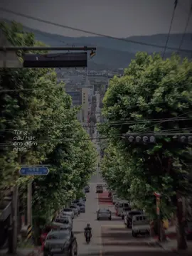 Từng câu hát êm đềm nhất #ntphu17 #CapCut 