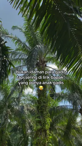 #fyp #sawitontiktok #🌴🌴🌴🌴 