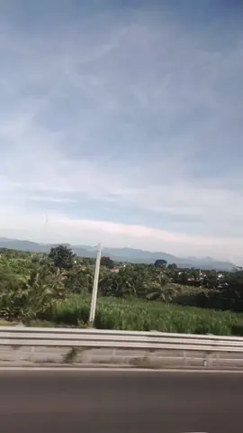 bạn nghĩ sao về vụ này #binhthuanvietnam🇻🇳 #xuhuongtiktok #xuhuong2025tiktok❤️🌈✔️🤟🤟🤟story 