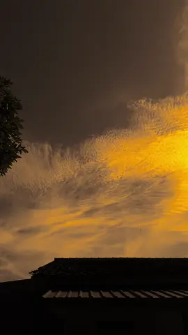 المسافة الطويلة لن تبعدك عن قلبي لأن الحب الجميل هو الحب الذي لا يلتقي بل يتوق إلى بعضنا البعض 