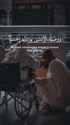 #قران_كريم #fyp #راحه_نفسيه #islamic_video #salahbukhatir 