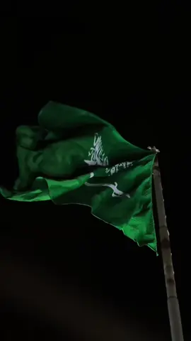 #اليوم_الوطني_السعردي95  #مالحد_منه_الله_الي_عزنا🇸🇦🇸🇦🇸🇦🇸🇦🇸🇦   23 سمبتمبر 2025  كل عام و وطني بخير وفي خير 🇸🇦🇸🇦🇸🇦🇸🇦🇸🇦🇸🇦🇸🇦🇸🇦