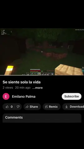 #Minecraft #real #realminecraft #fyp 