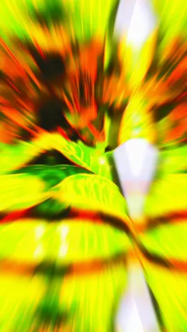 Honey eye drops make the world clearer Now there is a 69% discount and free shipping 💕
 Las gotas de miel para los ojos aclaran el mundo. Ahora hay un 69% de descuento y envío gratis. 💕
 #eyes #eyecare #tiktokmehizocomprarlo #eyedrops #eyehealth 