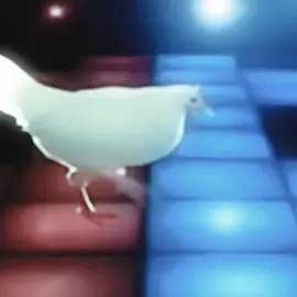 This was peak back in 2015-16 #chicken #edit #chickendance #song #nostalgia 