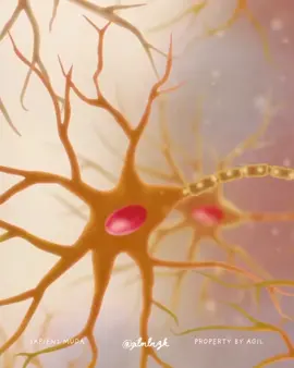 Penelitian tentang near-death experience (NDE) sering dijadikan argumen bahwa kesadaran bisa bertahan setelah aktivitas otak berhenti. Banyak orang yang mengalami NDE melaporkan sensasi keluar dari tubuh, melihat cahaya terang, atau merasakan kedamaian. Namun, kajian neurologis menjelaskan bahwa pengalaman ini muncul akibat kondisi otak yang kekurangan oksigen (cerebral hypoxia), pelepasan zat kimia seperti endorfin dan dopamin, serta aktivitas abnormal di area otak seperti temporal lobe dan visual cortex. Dengan kata lain, pengalaman itu bukan bukti kesadaran bertahan setelah mati, melainkan fenomena biologis ketika otak berada dalam kondisi ekstrem. Neurosains modern, seperti yang ditegaskan oleh pakar seperti Anil Seth dan Christof Koch, cenderung menyimpulkan bahwa kesadaran adalah hasil dari proses fisik di otak, bukan entitas yang berdiri sendiri. Setelah otak berhenti berfungsi dan sel-sel saraf membusuk, tidak ada mekanisme biologis yang dapat menopang kesadaran. Oleh karena itu, gagasan tentang kehidupan setelah mati lebih dilihat sebagai mekanisme koping psikologis ketimbang kenyataan neurologis.