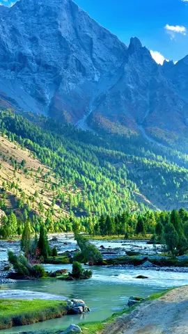Basho valley mountains views so beautiful 7 days in visit my Skardu autumn season#welcometoskardu #greenery #bashovalley #trendingnow #visitmyskardu @Sheraz ♛ @murtaza_talib.official @🎭HAMZA ALI🎭 