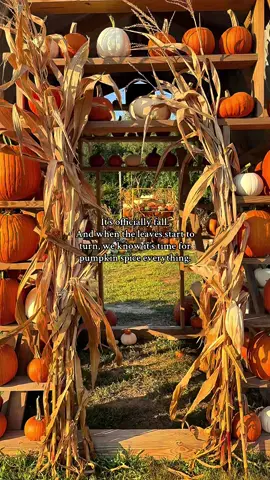 It’s still 80 degrees but I think it’s time for the pumpkin spice. #fall #pumpkinspiceseason #pumpkinpatch 