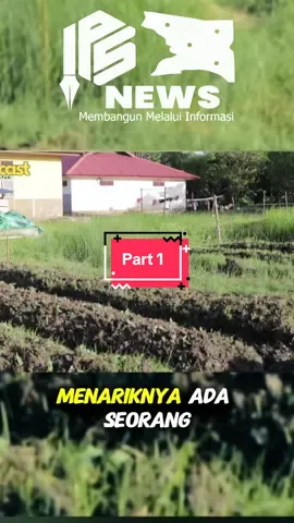 Sarjana Administrasi Papua Ajarkan Bertani_ Kisah Inspiratif! Selengkapnya di Youtube Info Papua Selatan  #infopapuaselatan 