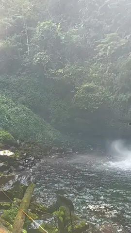 curug Sawer #curugsawer #lembahpurba #suspensionbridge #surgatersembunyi 