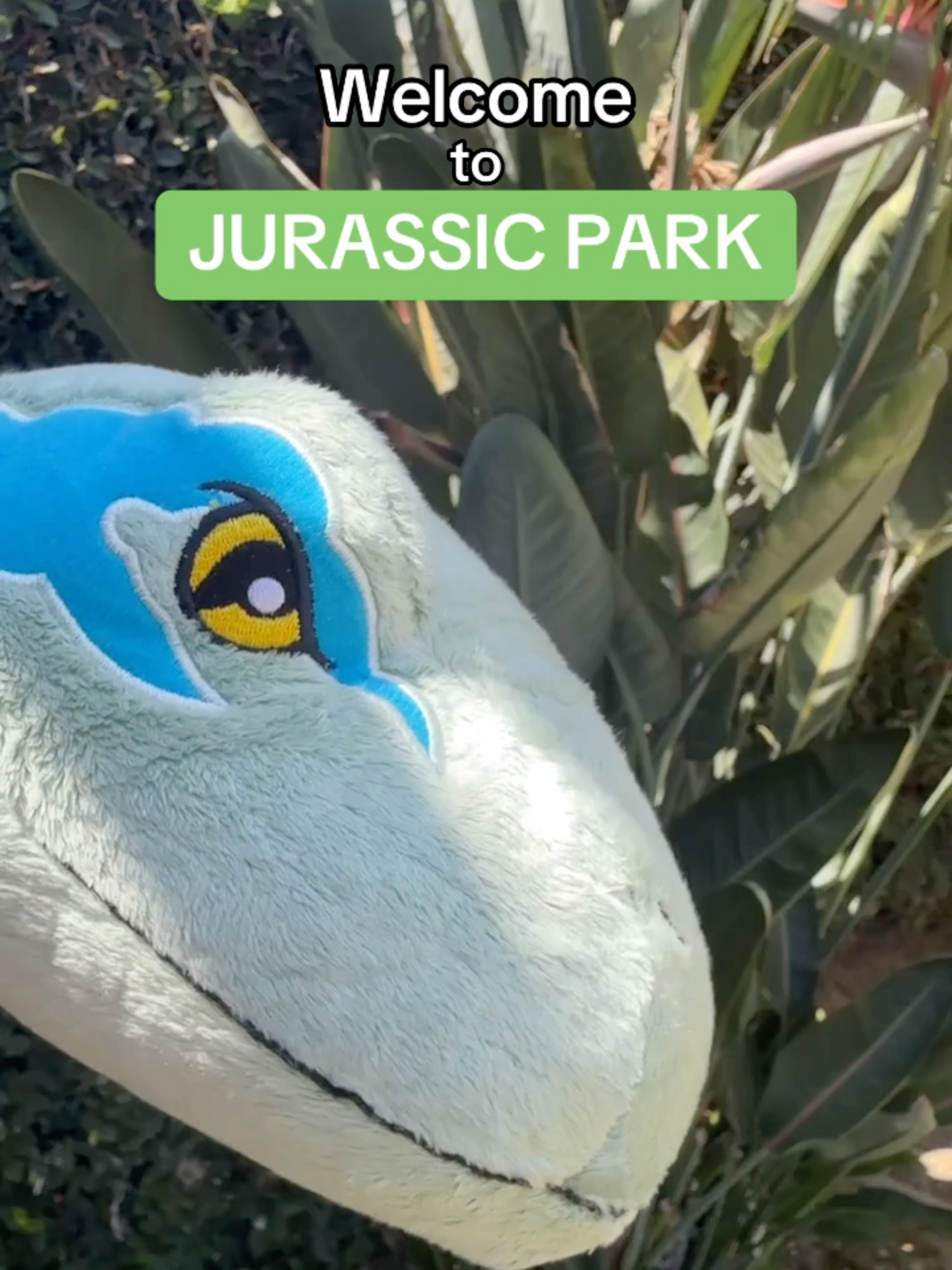 Welcome to Jurassic Park 🌿🦕 Meet Blue! The best Dino around. Available now for any Jurassic Park fan! ✨