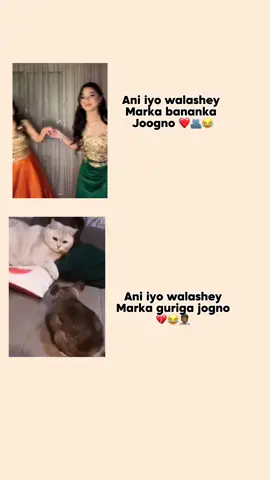 😂😂💔#maryamibrahiim #CapCut #fyppppppppppppppppppppppp #viraltiktok #somalitiktok 