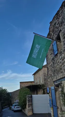 -Arabie Saoudite, fête nationale de la Fondation du pays en 1932 -Saudi Arabia, National Day of the country's founding in 1932 المملكة العربية السعودية، اليوم الوطني لتأسيس البلاد عام 1932 #saudiarabia🇸🇦 #المملكةالعربيةالسعودية #nationalday #flag #middleeast 