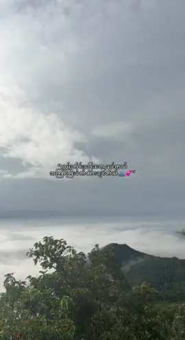 #creatorsearchinsights #fyp #fyppppppppppppppppppppppp #foryoupage #viral 