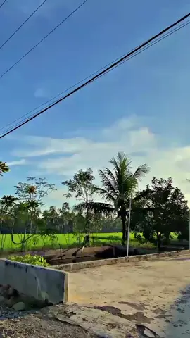 coba tebak jalan mana ini 🤪