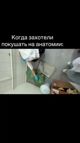 Анатомия 🫶🏻#анатомиямозга#анатомия #асфен#препараты #кушатьунивер