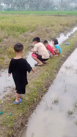 wilujeng sonten hayu urang ngasuh sakantenan menikmati alam. #fyp #sorotan #sunda #jawabarat 