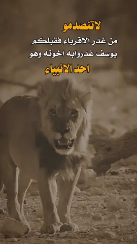 لاتنصدمو 👌✋ #صباح_الخير #عبارات #اكسبلور 