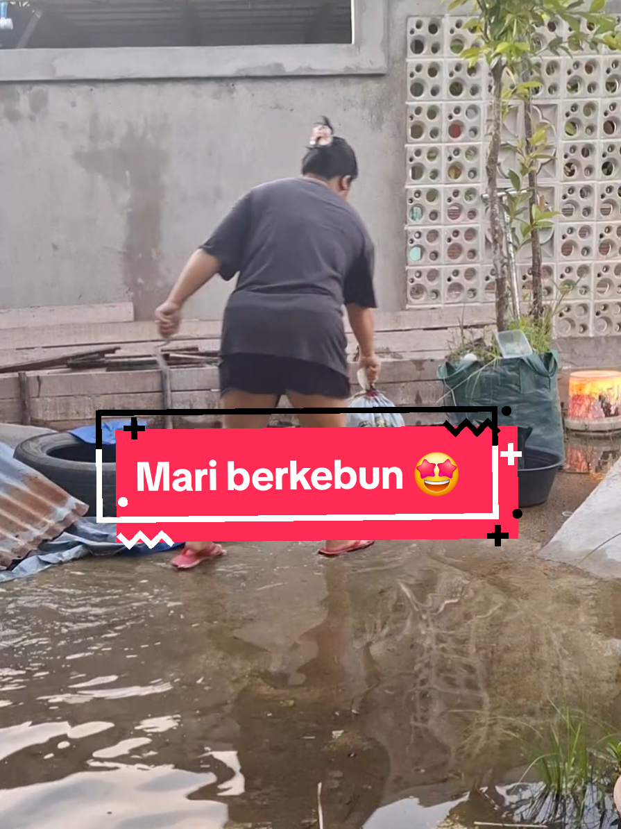Depan rumah sekarang seperti kolam ikan, 😃😃 Kalau ujan deras, pasti banyak air yg tergenang.  #Dailyvlog #bekebun #fypjangkauanluas #iburumahtangga #dayakkalbar 