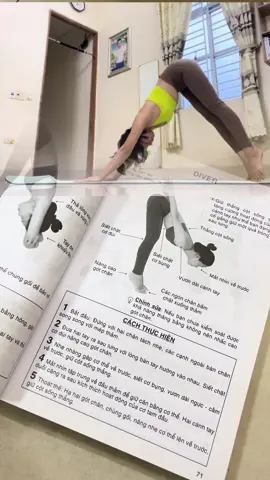 Sách tập yoga cơ bản cho người mới bắt đầu tập tại nhà #thuytienloi #sachhay #sachyoga #xuhuong 