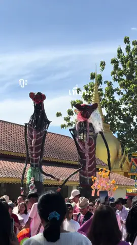 กูกับเพื่อนในนรก555555555555 #เดือนสิบบ้านเรา #ชิงเปรต #นครศรีธรรมราช #fyp 