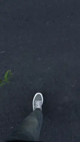 Hoa hồng xanh lá tượng trưng cho sự phát triển, thịnh vượng, may mắn và một khởi đầu mới đầy hứa hẹn. Ngoài ra, nó còn thể hiện sự cân bằng, hài hòa, niềm tin và hy vọng vào tương lai tươi sáng. Sắc xanh mát mẻ của hoa mang đến cảm giác dễ chịu, bình yên, thích hợp để gửi gắm thông điệp yêu thương, sự độc đáo và sáng tạo.  #hoahongxanh#hoa #abcxyz #fyp #viral 