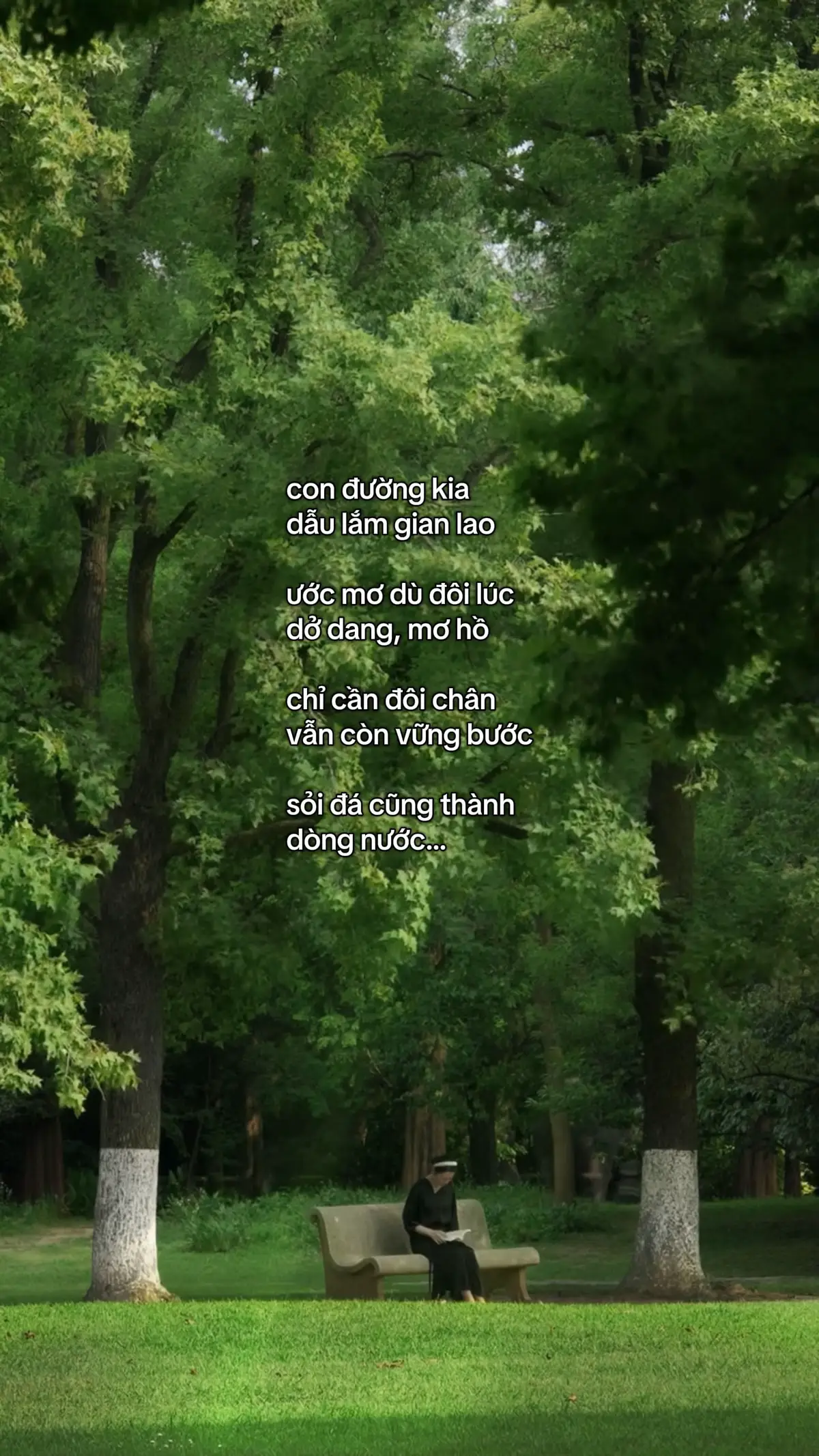 “Chỉ cần đôi chân vẫn còn vững bước, sỏi đá cũng thành dòng nước.” 🌿 #peacegr #nguoigieomamxanh 