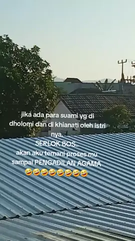 SERLOK BOS KUH 