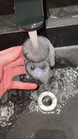 🎧 The Mini Invisible Earbuds You Need! 🎧 Tiny, powerful, and truly wireless – these Bluetooth 5.4 earbuds deliver crystal-clear sound with a secure, invisible fit. Perfect for work, work outs, or just tuning out the noise! 🔋 Long Battery Life – Stay connected all day. 🎶 Deep Bass & HD Sound – Experience music like never before. 🕶 Ultra-Compact & Comfortable – Discreet design for all-day wear. 🛒 Tap to shop now & upgrade your listening experience!#headphones #miniheadphones #music #sound#LanguageLearning         