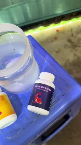 Combo tím và viatamin nguyên chất dành cho cá cảnh 