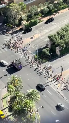 #stitch with @VegasStarfish #lasvegas #travel 