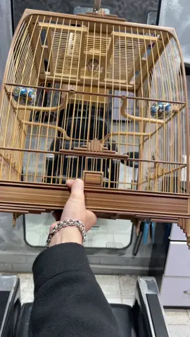 tre mộc vẫn là 1 thứ gì đó