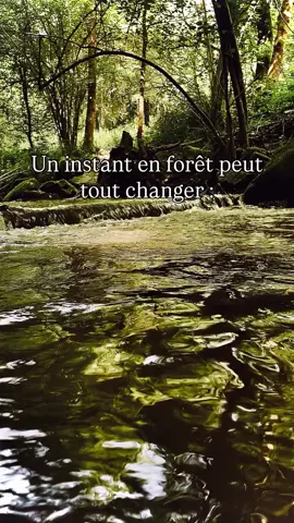 #pourvous #pourvous #pourtoi #tirage #mainverte #verte #nature #silence #beaute 