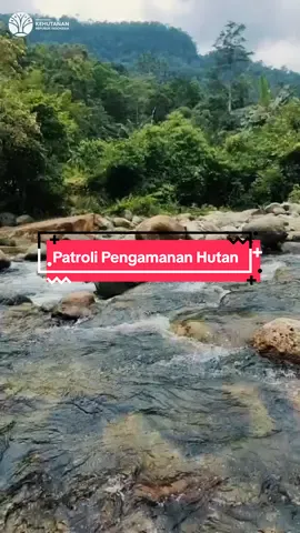 Hai #Sahabatkonservasi ! 👋🏻 Tim Resor SM Dolok Surungan I patroli pengamanan hutan bersama MMP tanggal 18-20 September 2025. Pengamatan dan temuan Sarang Landak 🦔Kotoran kucing kuwuk, 🐈,Kedih atau dikenal Monyet Surili Sumatera🐒 dan Sarang Burung Menyar 🪹didalam kawasan menjadi hasil dari patroli. Tonton videonya ya!  #JagaHutan #ksdae #bbksdasumut #klhk 