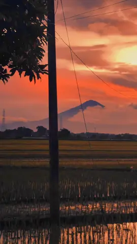 #vibessubuh#QS_AL_AN_AM