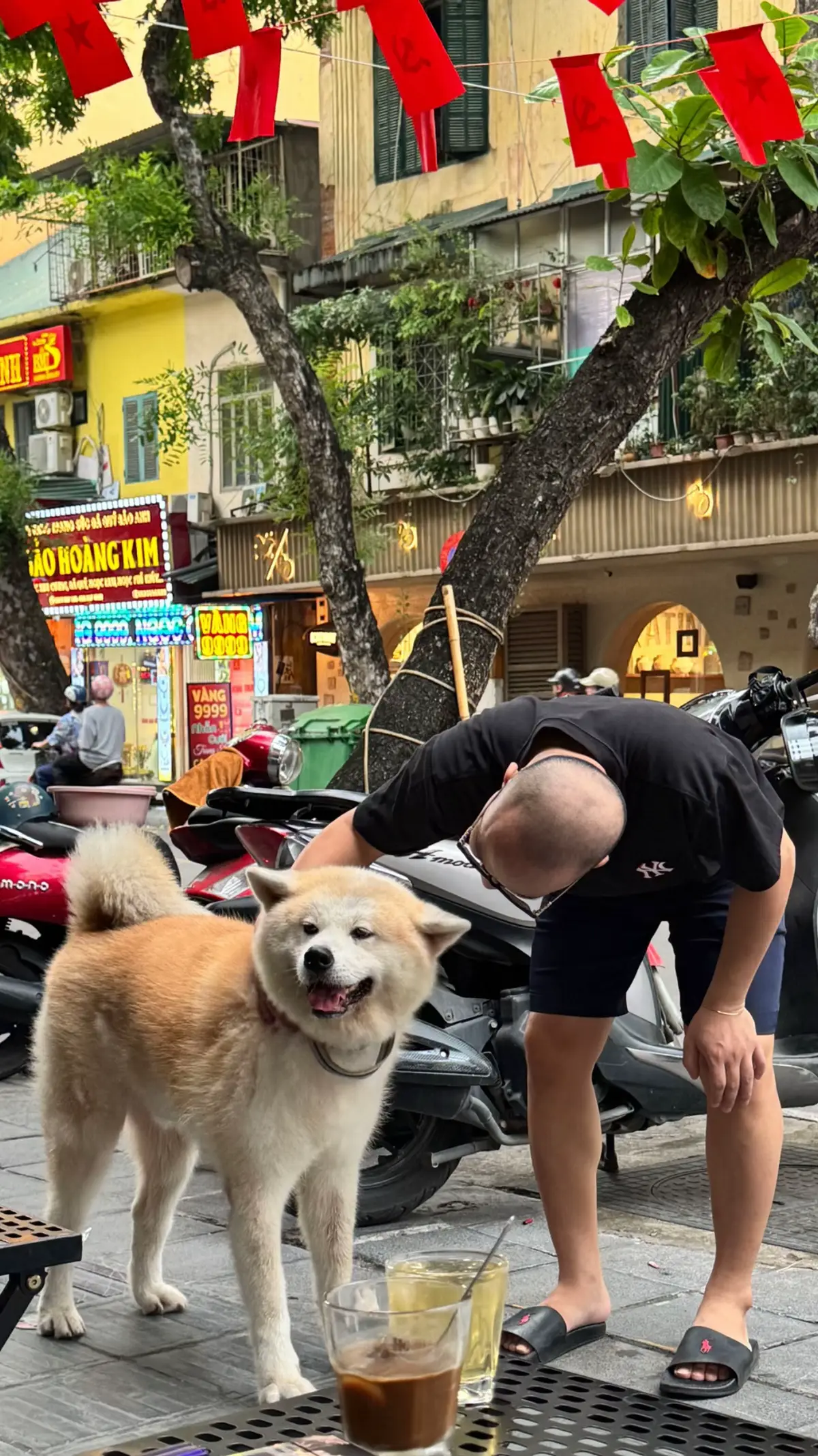 Giản đơn không mưu cầu 