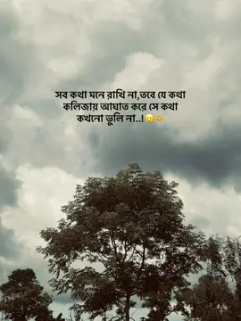 সব কথা মনে রাখি না,তবে যে কথা কলিজায় আঘাত করে সে কথা কখনো ভুলি না..!#foryoupage #sadstory #vairalvideo #sadcaption #creatorsearchinsights @TikTok Bangladesh 