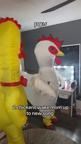 2 chickens wake mom up to new song 😂😂#funny #viral #fyp 