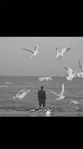 انه بزمن غبر#عباس_السحاكي#fypシ#viral#foryou#الحظ 