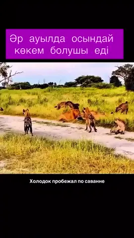 ငါမူးရင်သတိထားကြ #မူးတယ်နော်#