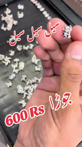 #afghanistan🇦🇫 #saudiarabia #Dubai #peshawar #viralvideo 