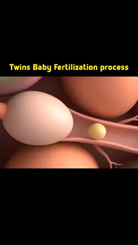 twins baby process#foryoupage❤️❤️ #videoviral 