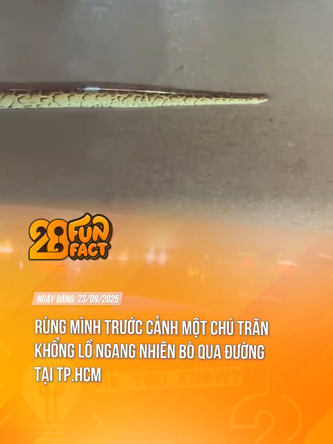 ĐANG QUA ĐƯỜNG THÌ BỊ BODYSHAMING :)) #theanh28 #theanh28funfact #theanh28news #tiktoknew