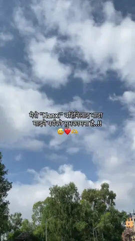 la haiii tw😅#fyp #foryoupage #mentionyoursister #viralvideo 